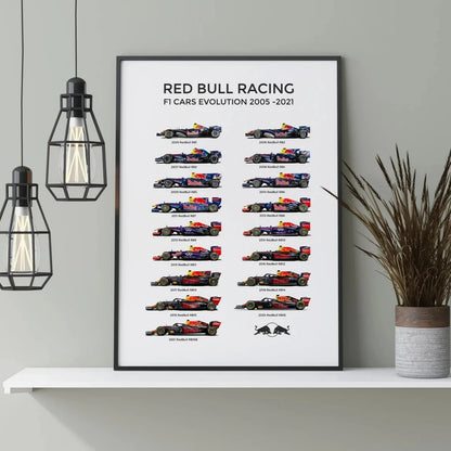 Cuadro Red Bull Racing Evolution