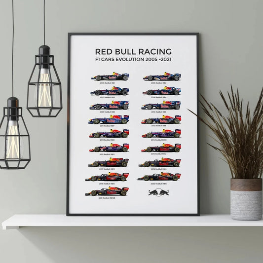 Cuadro Red Bull Racing Evolution