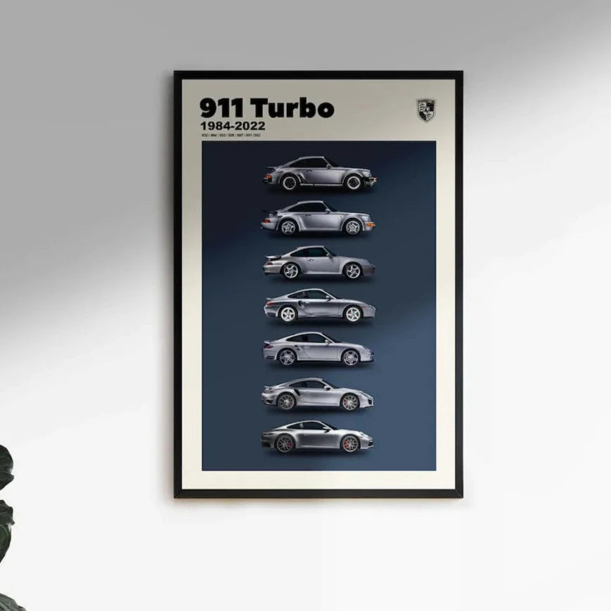 Porsche 911 Turbo Evolution Cuadro